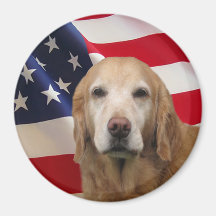 Golden Retriever Magnet