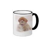 Golden Retriever Pup in Snow Coffee Mug