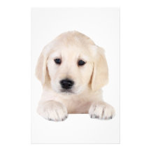 Golden Retriever Puppy Customized Stationery