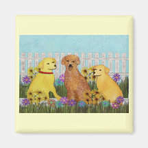 Golden Retriever Sunshine Magnets