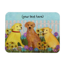 Golden Retriever Sunshine Premium Magnets
