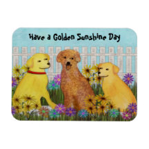 Golden Retriever Sunshine Premium Magnets