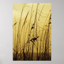 Golden Sea Oats Poster