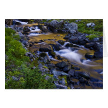 Golden stream greeting card