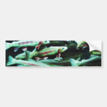 Golden Trout Fish Sea World Bumper Stickers