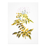 Golden Variegated Jasmine Personalized Announcements