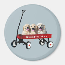 Goldens In Wagon Magnet