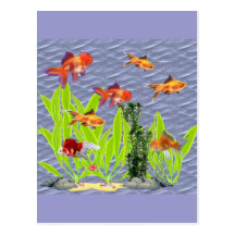Goldfish Post Card