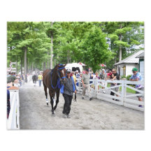 Goldigger's Boy heading towards the Paddock Photo Print