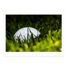 golf ball hiding remix postcards