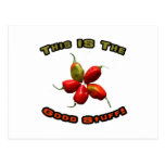 Good Stuff Five Habanero Hot Pepper Design Postcard