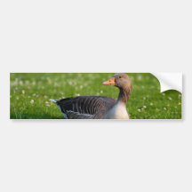 Goose Bumper Sticker
