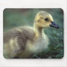 Goose Mousepad