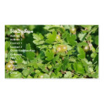gooseberry business cards