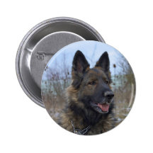Gorgeous Black-saddled German Shepherd Pinback Buttons