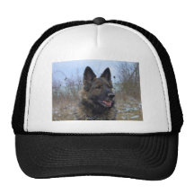 Gorgeous Black-saddled German Shepherd Hats