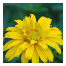 Gorgeous False Sunflower Personalized Invites