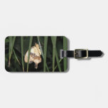 Gorgeous Moth Custom Luggage Tag