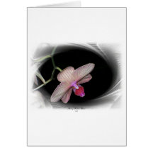 Gorgeous Petals 11 Card