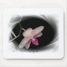 Gorgeous Petals 11 Mousemat