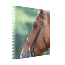 Gorgeous Quarter Horse Canvas Print