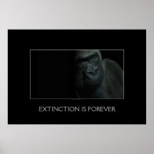 Gorilla Endangered Wildlife Primate Wild Animal Print