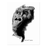 Gorilla Post Card