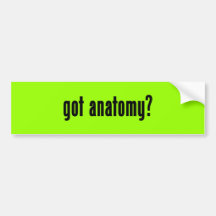 got anatomy? bumper sticker