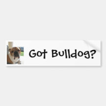 Got Bulldog? Bumper Sticker