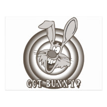 Got Bunny Post Card