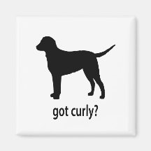 Got Curly Refrigerator Magnets