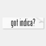 got indica? bumper sticker