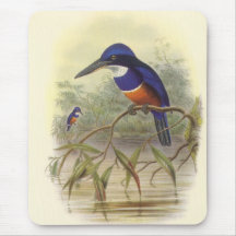Gould - Four-Coloured Kingfisher Mouse Mats