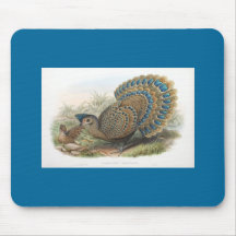 Gould - Malayan Peacock Mouse Pads