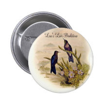 Gould - Southern Thornbill Hummingbird Pin