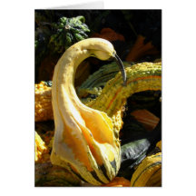 Gourds, Thanksgivng for Friend Greeting Card