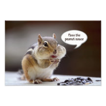 Gourmet Chef Chipmunk Picture Photographic Print