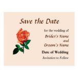 Graceful Orange Rose Save the Date Postcard