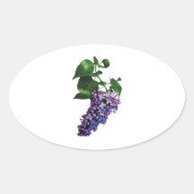 Graceful Purple Lilacs Sticker