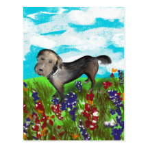 Gracie in the Field Post Cards