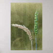 grains afdruk