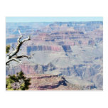 Grand Canyons Cliffs 4 Postcard