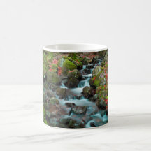Grand Cascades Tendons Waterfall Coffee Mug