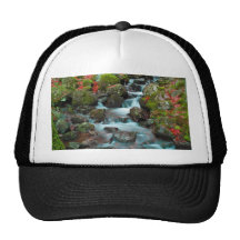 Grand Cascades Tendons Waterfall Mesh Hat
