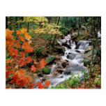 Grandfather Mountain Falls Post Cards