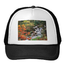 Grandfather Mountain Falls Trucker Hat