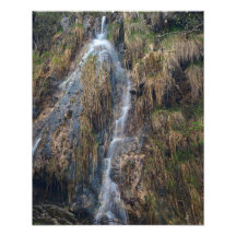 Grass and Stones Photographic Print