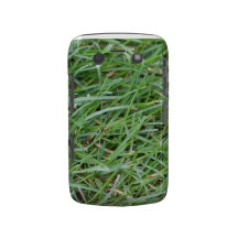Grass Blackberry Bold Case