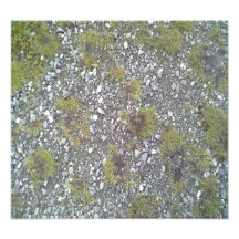 Gravel and grass photo art