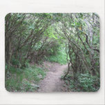 Graveyard Fields Upper FallsTrail Mouse Mats